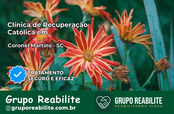 Clínica de Recuperação Católica em Coronel Martins | Internação 24h