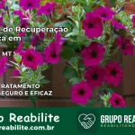 Clínica de Recuperação Católica em Denise | Internação 24h