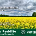 Clínica de Recuperação Católica em Dionísio | Internação 24h