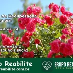 Clínica de Recuperação Católica em Divina Pastora | Internação 24h