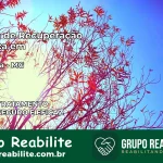Clínica de Recuperação Católica em Divinésia | Internação 24h