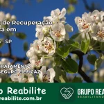 Clínica de Recuperação Católica em Dracena | Internação 24h