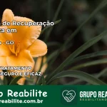 Clínica de Recuperação Católica em Edealina | Internação 24h