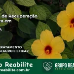 Clínica de Recuperação Católica em Faro | Internação 24h