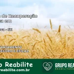 Clínica de Recuperação Católica em Feira Nova | Internação 24h