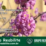 Clínica de Recuperação Católica em Ferreiros | Internação 24h