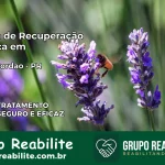 Clínica de Recuperação Católica em Foz do Jordão | Internação 24h