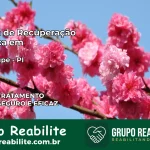 Clínica de Recuperação Católica em Guadalupe | Internação 24h