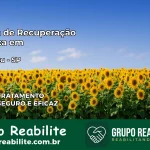 Clínica de Recuperação Católica em Guapiaçu | Internação 24h