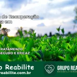 Clínica de Recuperação Católica em Guapiara | Internação 24h