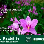 Clínica de Recuperação Católica em Guapó | Internação 24h