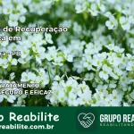 Clínica de Recuperação Católica em Guarabira | Internação 24h