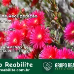 Clínica de Recuperação Católica em Guimarânia | Internação 24h
