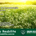 Clínica de Recuperação Católica em Gurupi | Internação 24h