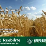 Clínica de Recuperação Católica em Ibitinga | Internação 24h