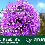 Clínica de Recuperação Católica em Ibitirama | Internação 24h