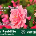 Clínica de Recuperação Católica em Ilhabela | Internação 24h