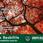 Clínica de Recuperação Católica em Independência | Internação 24h