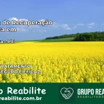 Clínica de Recuperação Católica em Ingazeira | Internação 24h
