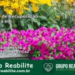 Clínica de Recuperação Católica em Ipuaçu | Internação 24h