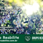 Clínica de Recuperação Católica em Ipupiara | Internação 24h