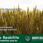 Clínica de Recuperação Católica em Irupi | Internação 24h