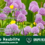 Clínica de Recuperação Católica em Itambé do Mato Dentro | Internação 24h