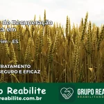 Clínica de Recuperação Católica em Itapemirim | Internação 24h