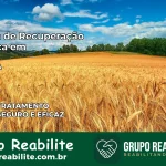 Clínica de Recuperação Católica em Iuiu | Internação 24h