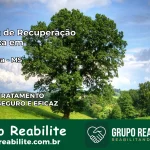 Clínica de Recuperação Católica em Ivinhema | Internação 24h