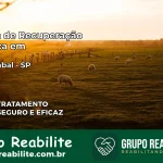 Clínica de Recuperação Católica em Jaboticabal | Internação 24h