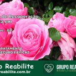 Clínica de Recuperação Católica em Jaguaripe | Internação 24h