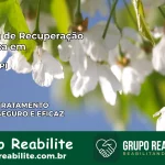 Clínica de Recuperação Católica em Jaicós | Internação 24h