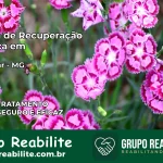 Clínica de Recuperação Católica em Japonvar | Internação 24h