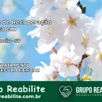 Clínica de Recuperação Católica em Jardinópolis | Internação 24h