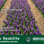 Clínica de Recuperação Católica em Jati | Internação 24h