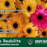 Clínica de Recuperação Católica em Jatobá do Piauí | Internação 24h