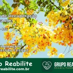 Clínica de Recuperação Católica em Jequeri | Internação 24h