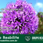 Clínica de Recuperação Católica em Jerumenha | Internação 24h