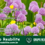 Clínica de Recuperação Católica em Jijoca de Jericoacoara | Internação 24h