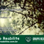 Clínica de Recuperação Católica em José de Freitas | Internação 24h