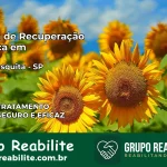 Clínica de Recuperação Católica em Júlio Mesquita | Internação 24h