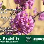 Clínica de Recuperação Católica em Lago do Junco | Internação 24h