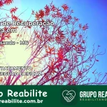 Clínica de Recuperação Católica em Lagoa Grande | Internação 24h