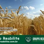 Clínica de Recuperação Católica em Leandro Ferreira | Internação 24h