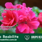 Clínica de Recuperação Católica em Luzilândia | Internação 24h
