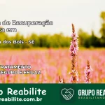 Clínica de Recuperação Católica em Malhada dos Bois | Internação 24h