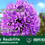 Clínica de Recuperação Católica em Mamanguape | Internação 24h