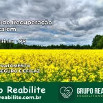 Clínica de Recuperação Católica em Mangueirinha | Internação 24h