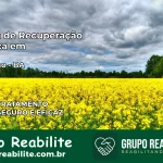 Clínica de Recuperação Católica em Mansidão | Internação 24h